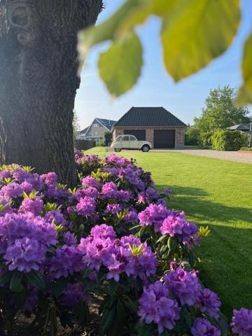 B&B De Plattelandshoeve Rhenen Buitenkant foto